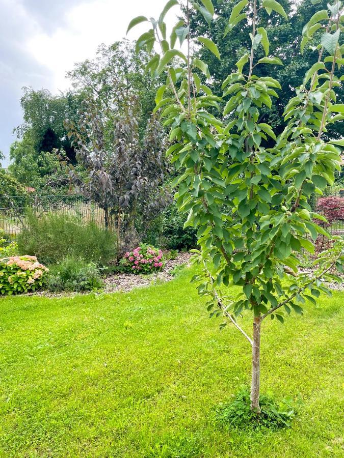 Ferienwohnung Kamrath Mit Wunderschoenem Ausblick Neuruppin Exteriér fotografie